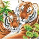 Tender tigers